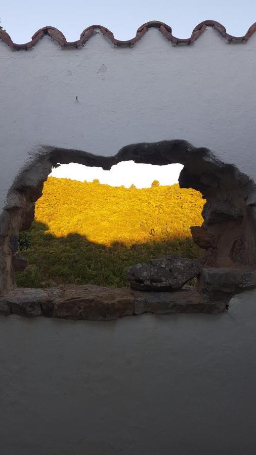 Gite Dans Ancienne Bergerie En Pleine Garrigue Fraissé-des-Corbières Buitenkant foto